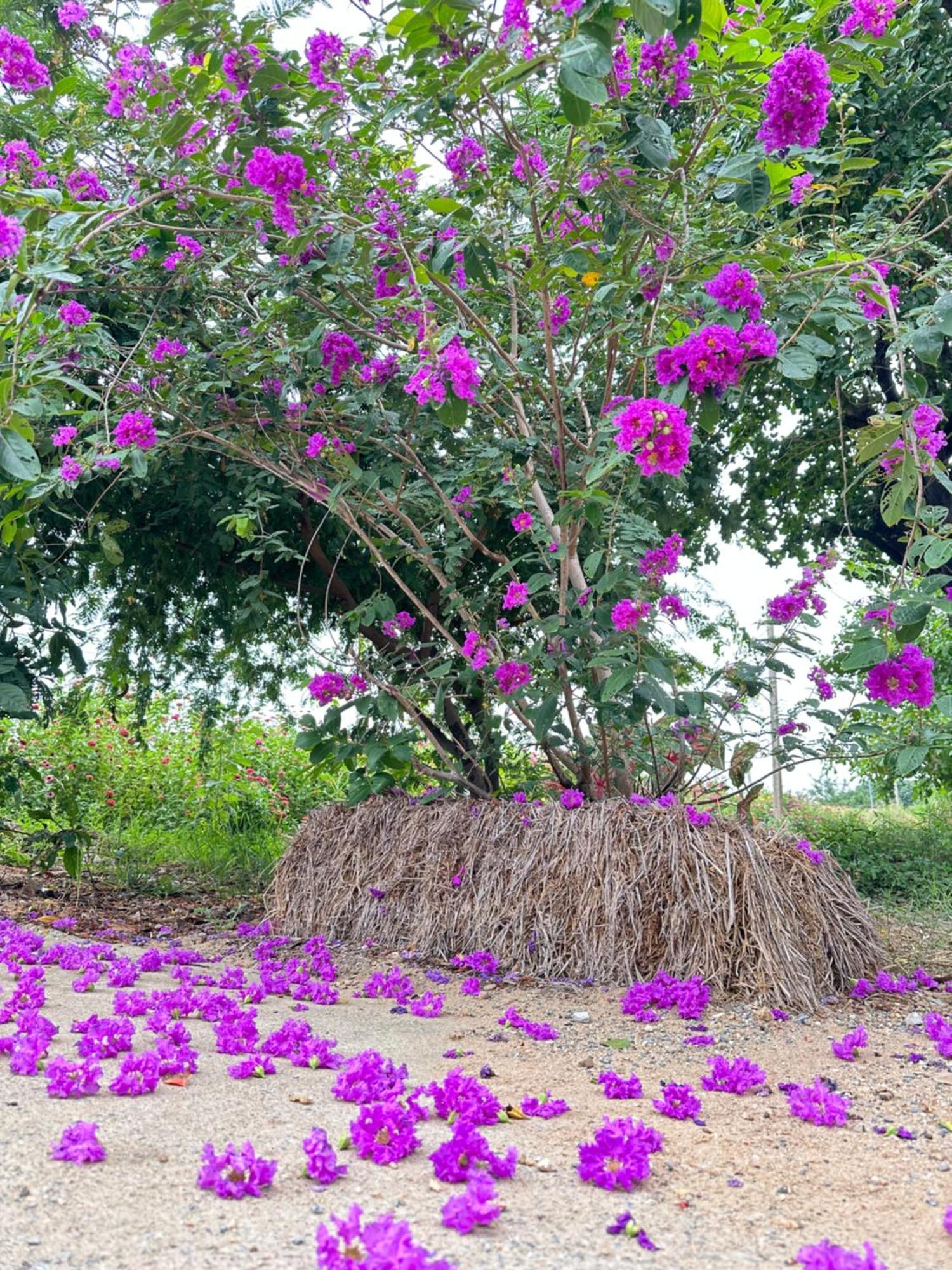 Ban Suweena Uthai Thani Exterior foto